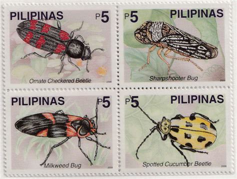 bugs in the philippines|8 Common Bugs in the Philippines .